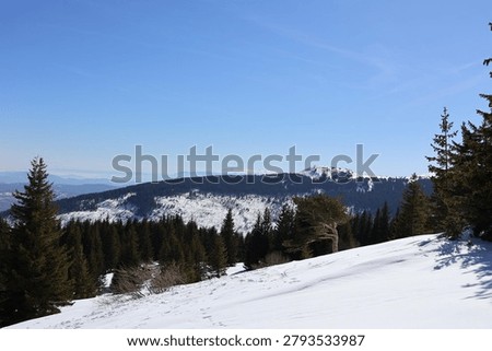 Spring mountain Vitosha, Sofia, Bulgaria