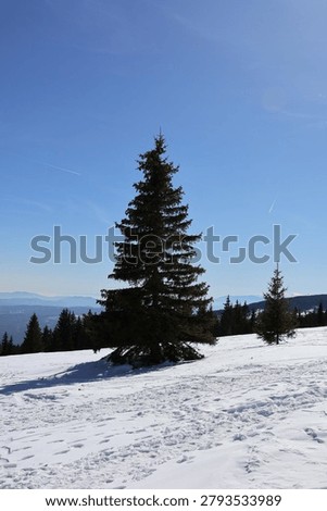 Spring mountain Vitosha, Sofia, Bulgaria