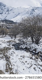 a spring in the mountains