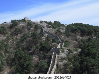 Spring In The Mutianyu Great Wall In Beijing