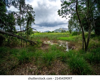 The Spring Of Nam Sang Wai 