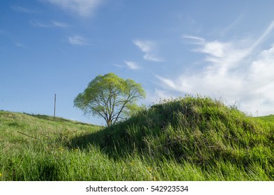 spring nature