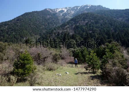 Spring nature in Albanian mountains 