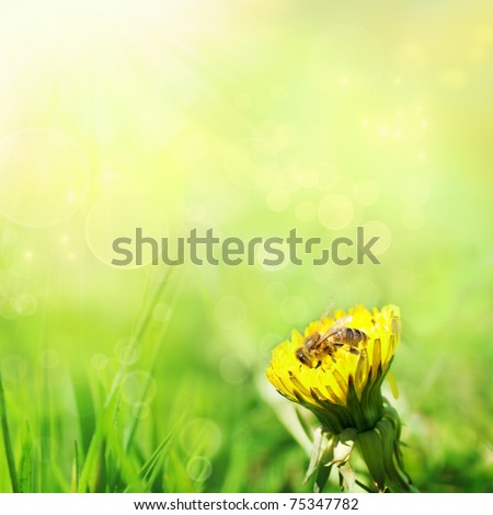 Spring nature background with dandelion and bee
