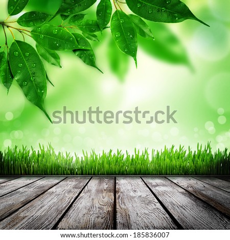 Spring nature background with grass