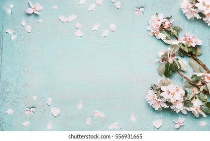 Spring Nature Background With Lovely Blossom In Blue  Pastel Color, Top View, Banner. Springtime Concept