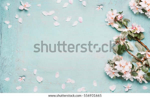 春の自然の背景に青のパステル色に美しい花 トップビュー バナー 春のコンセプト の写真素材 今すぐ編集