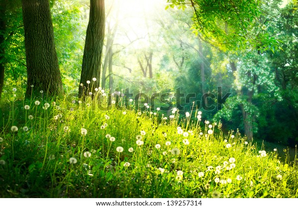 春天的自然 美丽的风景 公园绿草和树木 宁静的背景库存照片 立即编辑