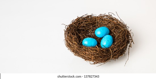 Spring nest full of blue Robin's Eggs. Studio isolated on White. - Powered by Shutterstock