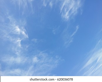 Spring Noon Sky