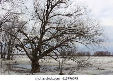 Spring in the North
