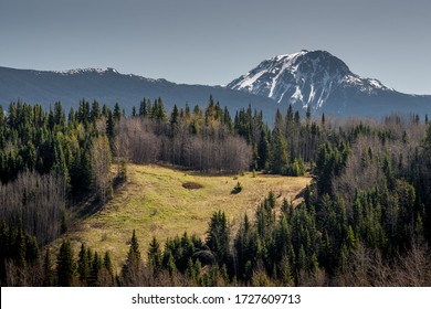 Spring In The Northern Mountains And Boreal Forest Of BC Canada. 