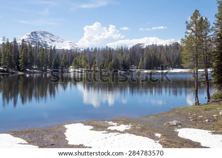  Spring on the Lilly    lake.  Uinta-Wasatch-Cache National Forest, Utah