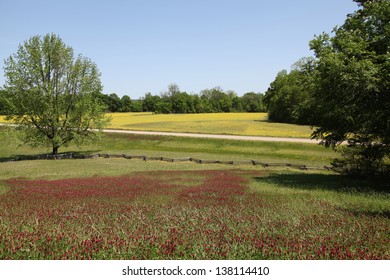 Spring On The Natchez Trace Parkway