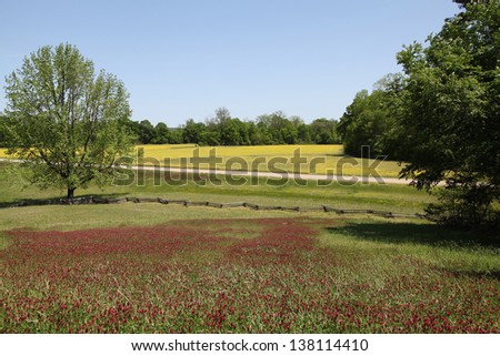 Spring on the Natchez Trace Parkway