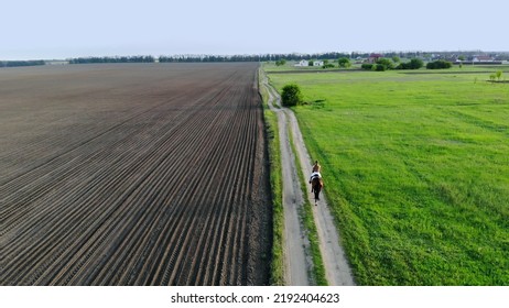 Spring. On Sunset .Woman Galloping On A Brown Horse Through A Field In Countryside. Young Woman Riding Bay Horse. Bird's-eye, Aerial Filming. High Quality Photo