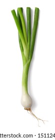 Spring Onion