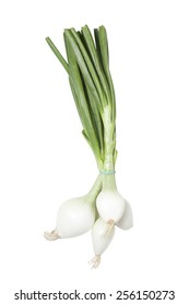 Spring Onion 