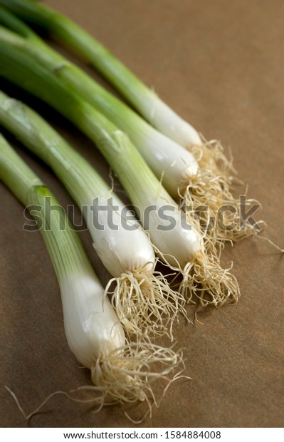 Spring onion,\
spring onion (Allium\
fistulosum)