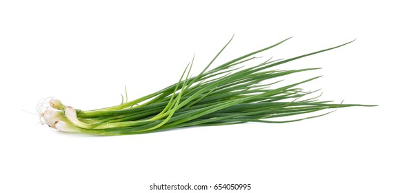 Spring Onion Isolated On White Background