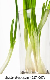 Spring Onions In Glass