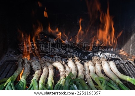 Calçots (spring onions) on a grill on the barbecue, at the bottom the fire. Typical Catalan barbecue ingredient in the winter months.