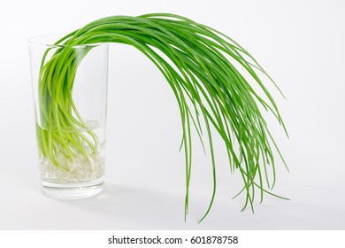 Spring Onions In Transparent Glass Filled With Water On White Background