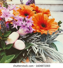 spring, orange, purple flowers on gray background