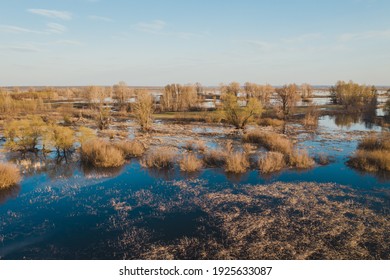 Spring overflow landscape, trees and bush impounded by spring high water, aerial photo