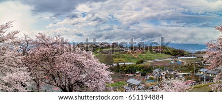 Similar – Image, Stock Photo Wide land | Say it through the flower | Male portrait with blurred flowers in foreground