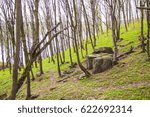 Spring Park landscape