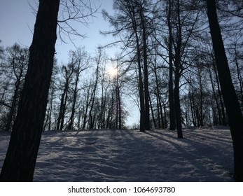 spring park and sun