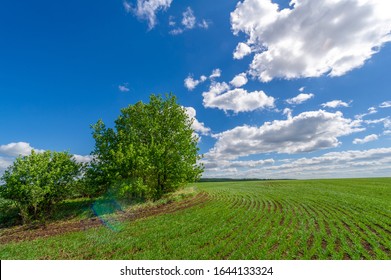 台湾地图 の画像 写真素材 ベクター画像 Shutterstock