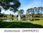 Spring pine tree and road in Florida
