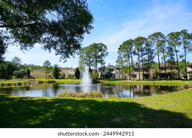 Spring pine tree and road in Florida
 - Powered by Shutterstock