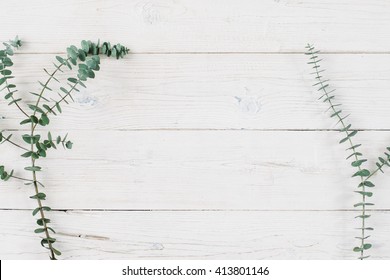 Spring plant over wood background. Decorative plant branch top view on white wooden background with free space. Rustic background with flat lay green plant.