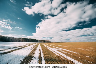 Spring Plowed Field Partly Covered Winter Melting Snow Ready For New Season. Ploughed Field In Early Spring. Farm, Agricultural Landscape Under Scenic Cloudy Sky. Spring Plowed Field Partly Covered