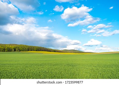 Spring At The Polish Fields