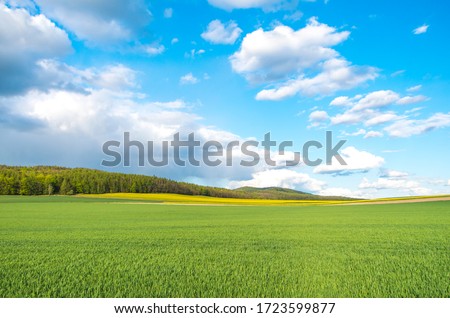Spring at the polish fields