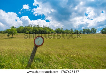 Spring at the polish fields