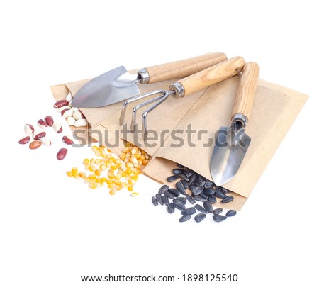 Spring  preparation and planning for sowing vegetable. Veggie seeds in craft paper envelopes. Seasonal garden work. Studio Photo