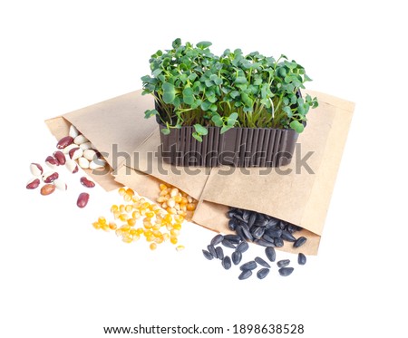 Spring  preparation and planning for sowing vegetable. Veggie seeds in craft paper envelopes. Seasonal garden work. Studio Photo