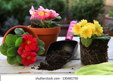 Potting Bench Images Stock Photos Vectors Shutterstock