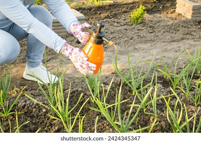 Spring processing of vegetable crops, onions and garlic, spraying, protection from diseases and insects.  The concept of spring work in the garden.  A woman holds an orange sprinkler in her hands.