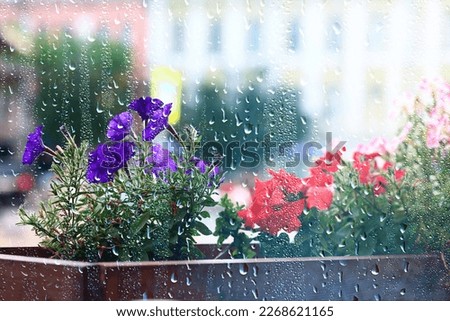 Similar – Image, Stock Photo spring rain Colour photo