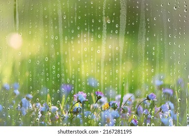 Spring Rain Flowers Background Bloom Field Nature Fresh Green Water Drops