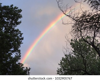 Spring rainbow between trees after rain