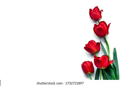 spring red tulips with green leaves on white isolated background copyspace