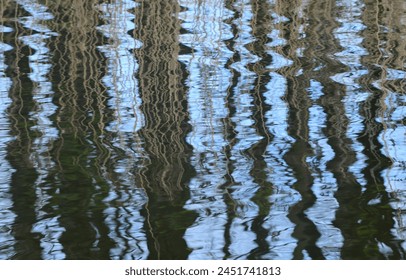 spring reflections of trees in water
