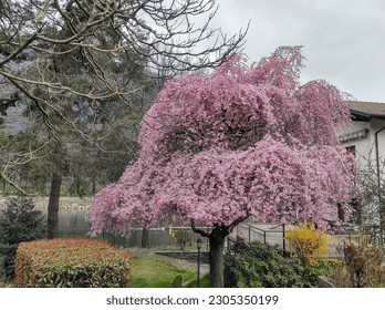 the spring is right here